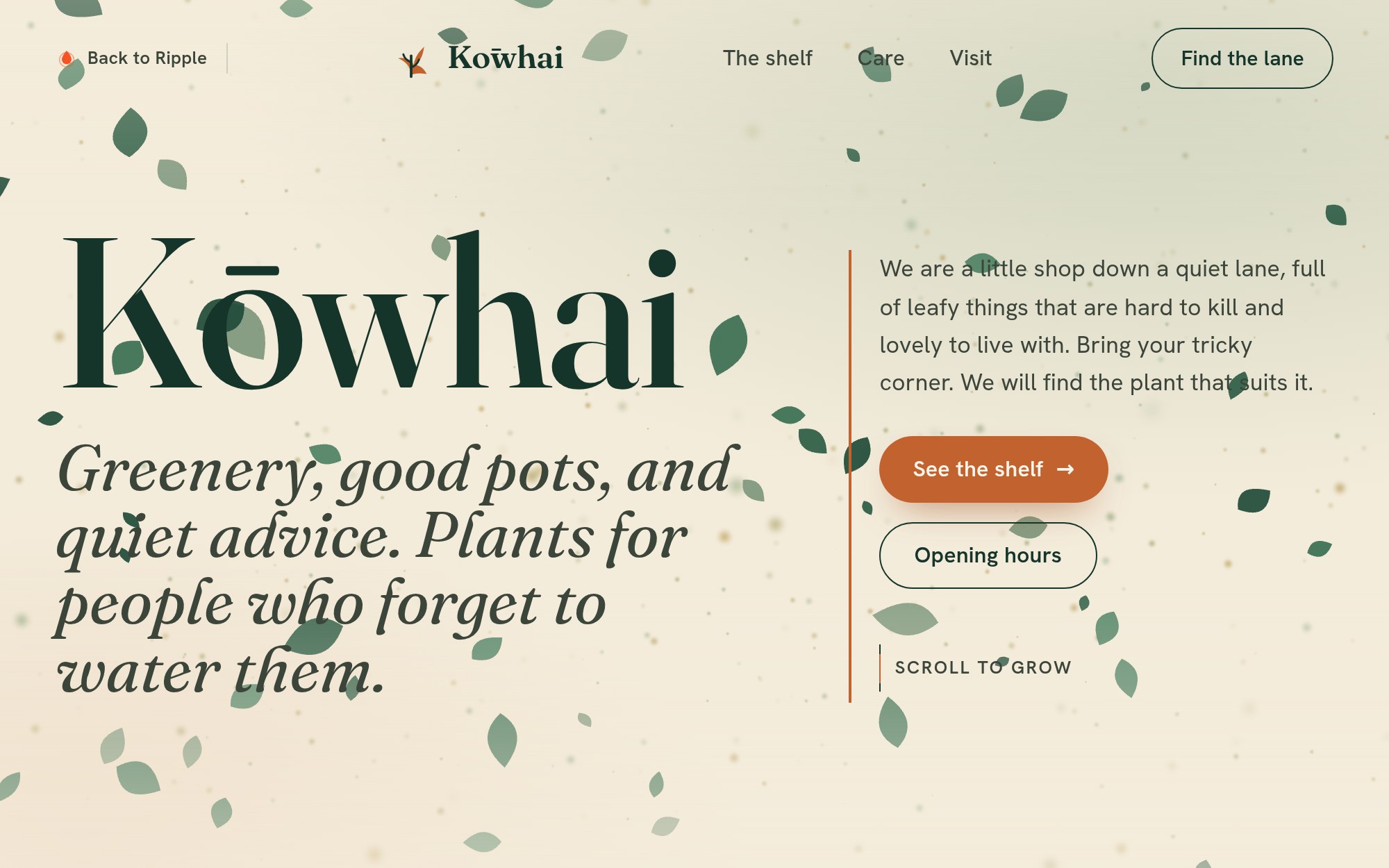 The Kōwhai plant-shop concept by Ripple